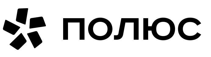 Полюс